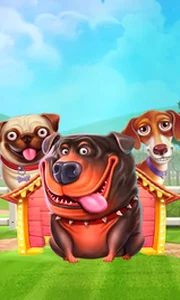 The Dog House